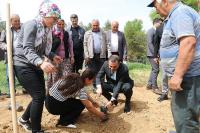 Burdur'da çiftçilere dağıtıldı, ekonomiye can katacak