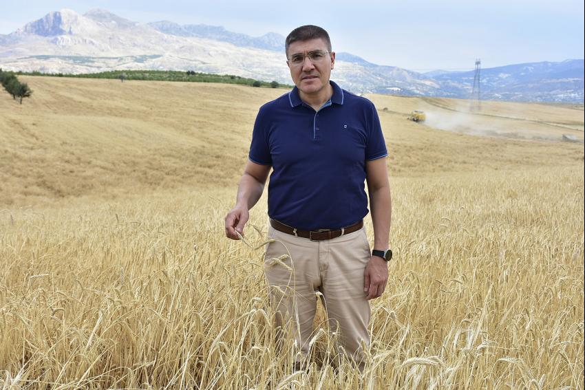 MAKÜ’de Hasat Zamanı