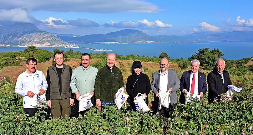 Rektör Korkmaz, YÖK Başkanı Prof. Dr. Erol Özvar ile Isparta’da Gül Topladı