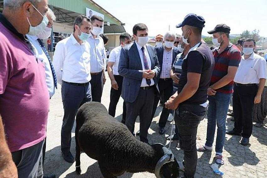 VALİ ARSLANTAŞ, CANLI HAYVAN PAZARINDA İNCELEMEDE BULUNDU