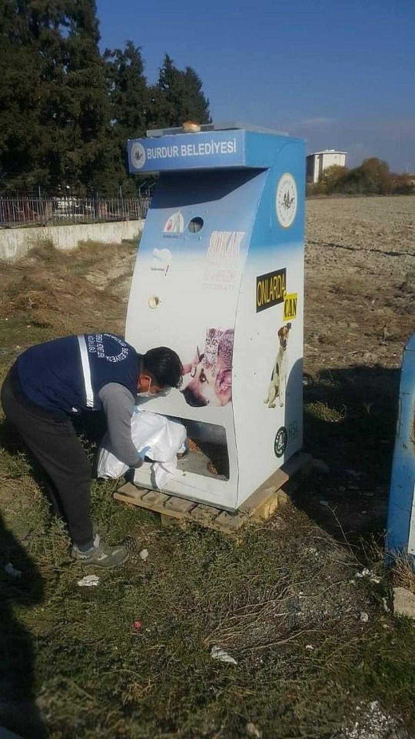 Burdur Belediyesi Sokak Hayvanları İçin Mama Bıraktı
