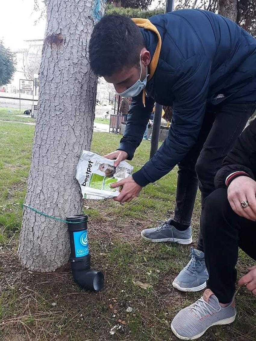 Ülkü Ocakları Sokak Hayvanlarını Besledi