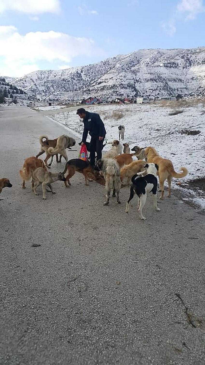 Burdur Belediyesi soğuk günlerde can dostlarını unutmadı