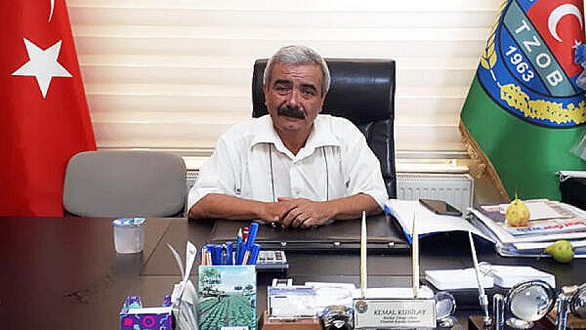 Bu yıl rekolte yüksek olur