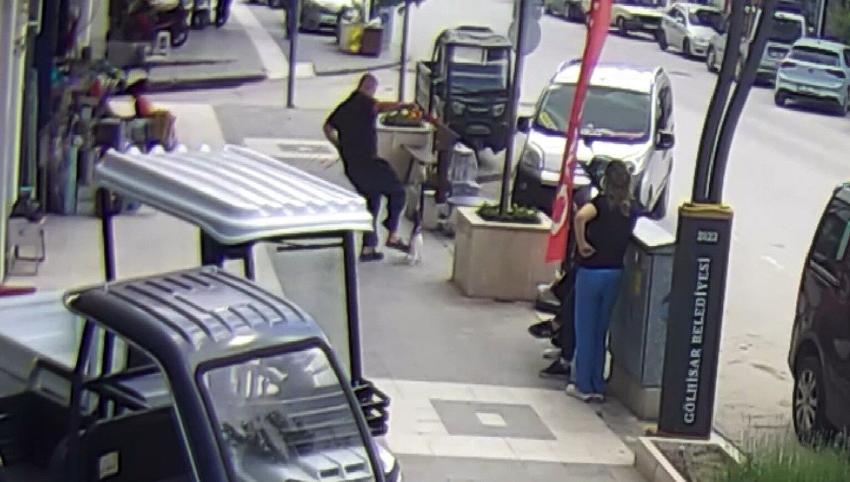 Köpeğine Saldıran Kediye Tekme Attı, O Anlar Kamerada