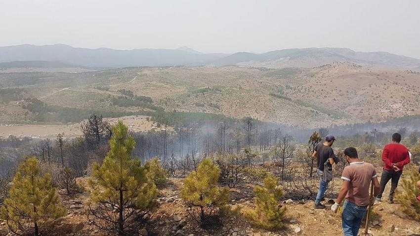 Tefenni'den güzel haber geldi