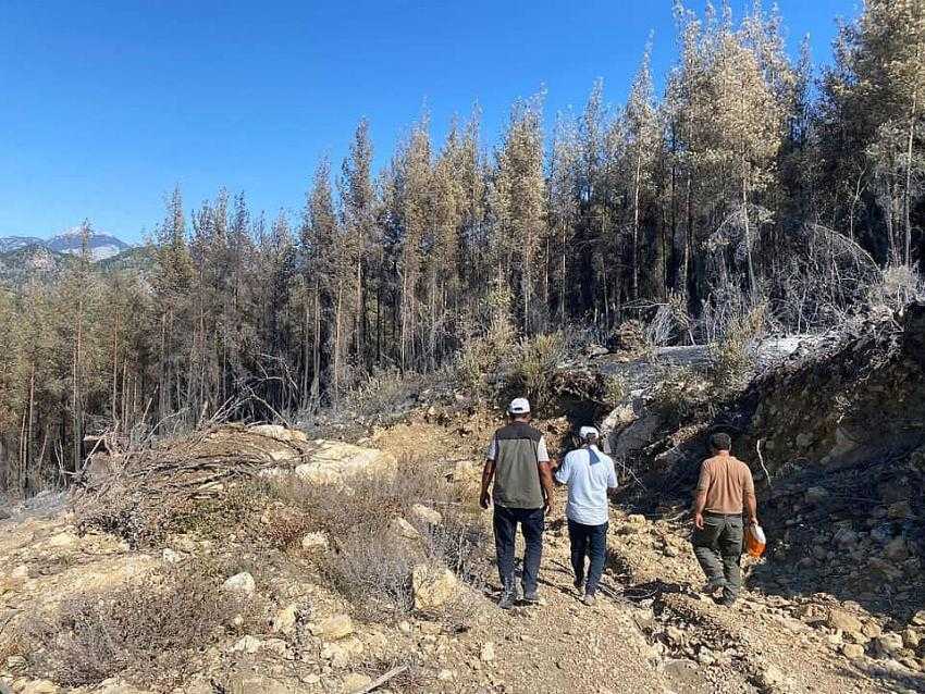 Toprak İle Orman Aynı Renge Büründü