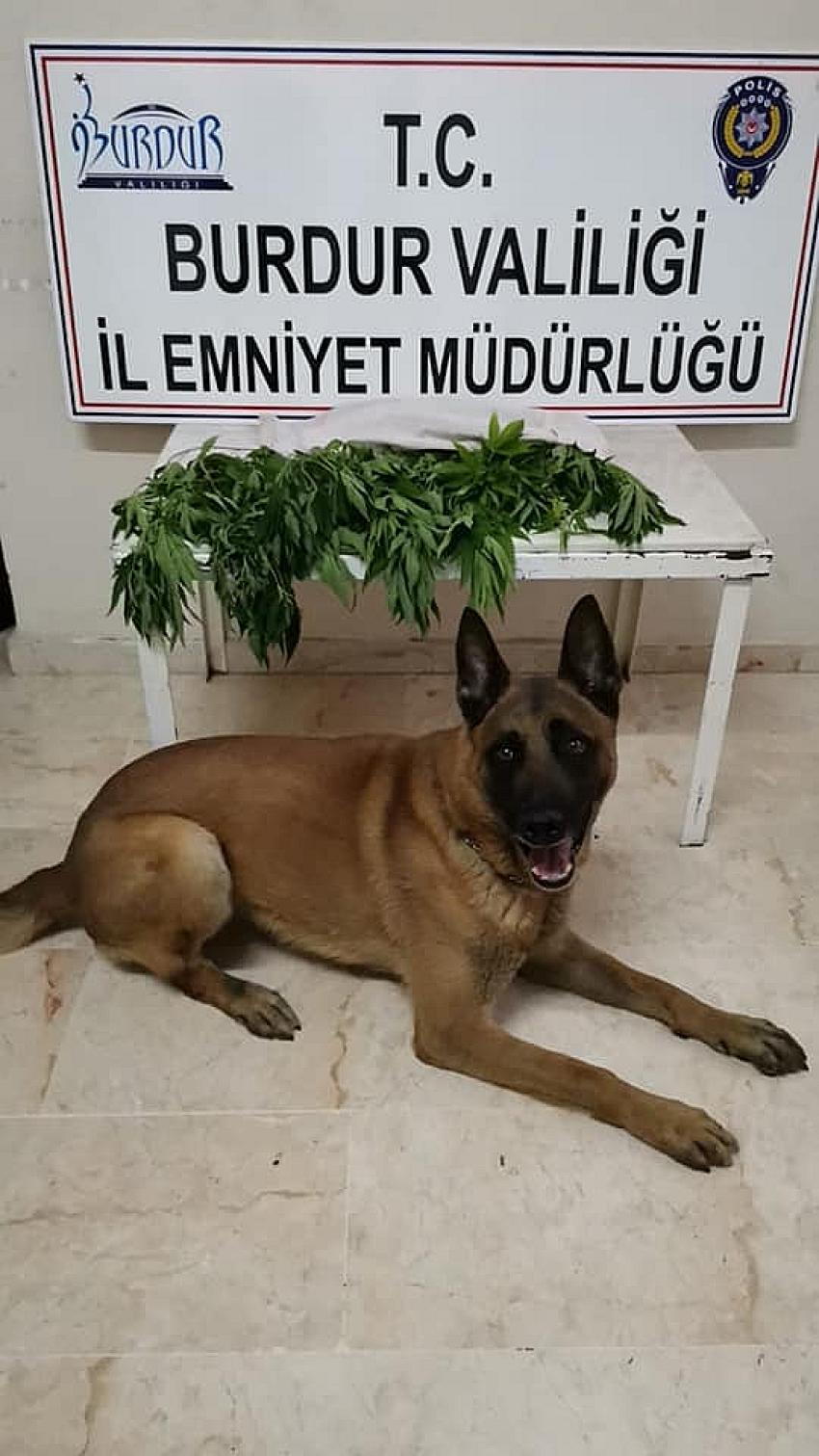 EMNİYET EKİPLERİNDEN UYUŞTURUCU OPERASYONU