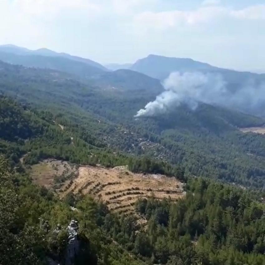 Bucak Karaseki'de Orman Yangını