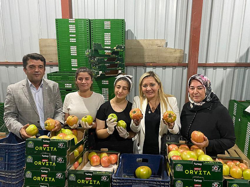 İYİ Parti Heyeti Söğüt'te Üreticinin derdini dinledi