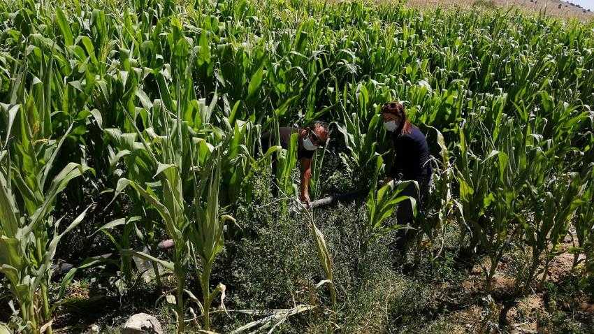 Karamanlı’da Tarım ve Üretim’in önemine dikkat çeken uygulama