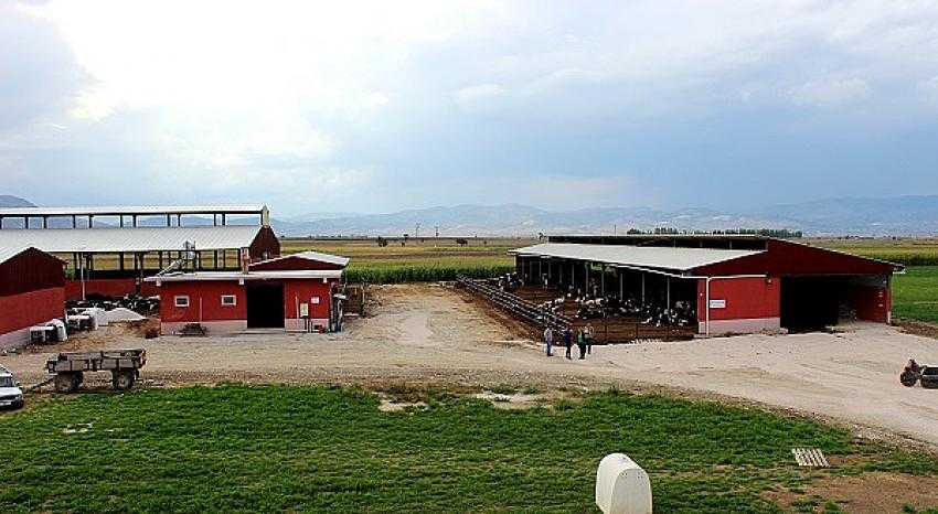 2019 YILI TKDK PROJELERİ İLE BURDUR’A 100 MİLYONLUK YATIRIM
