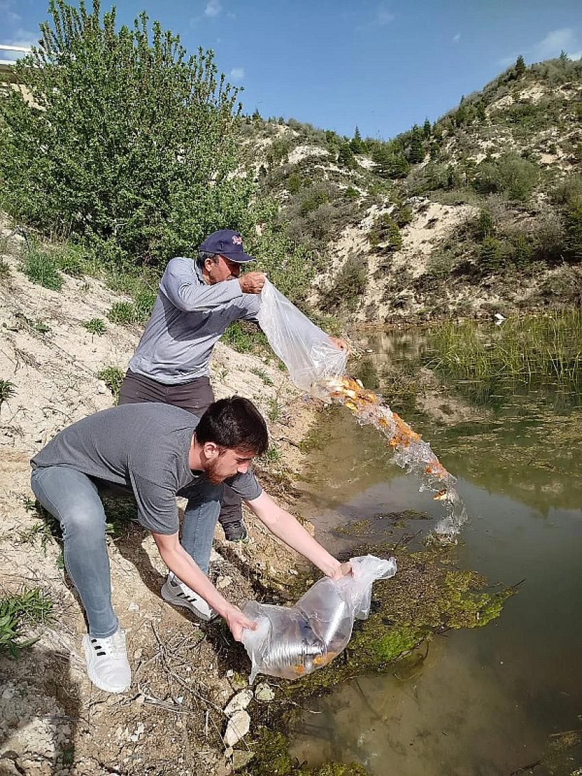 Burdur