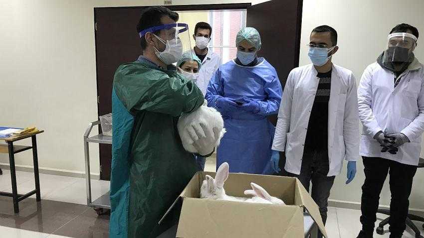 MAKÜ’de 11. Deney Hayvanları Kullanım Sertifikası Kursu Gerçekleştirildi