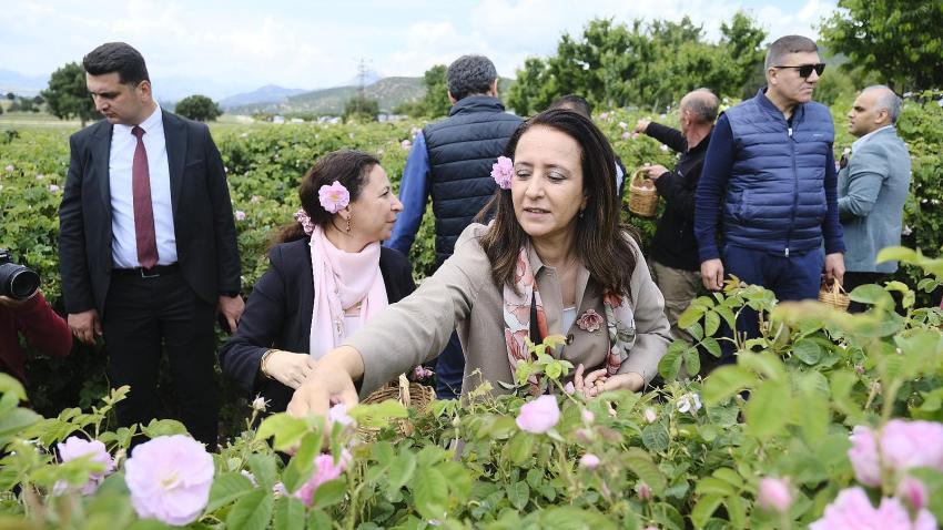 Bu Festivalle Burdur Mis Gibi