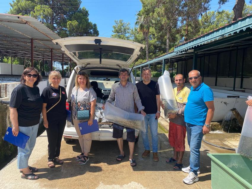Burdur’da 393 Bin Yavru Sazan Göletlerle Buluştu