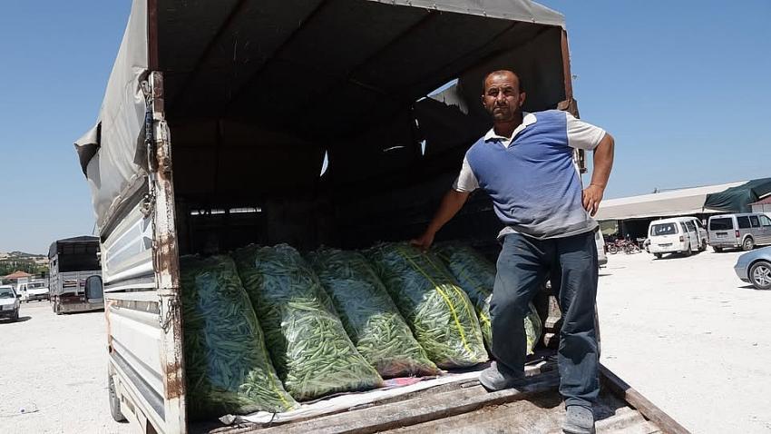 Fasulye Üreticisinin Fiyat İsyanı