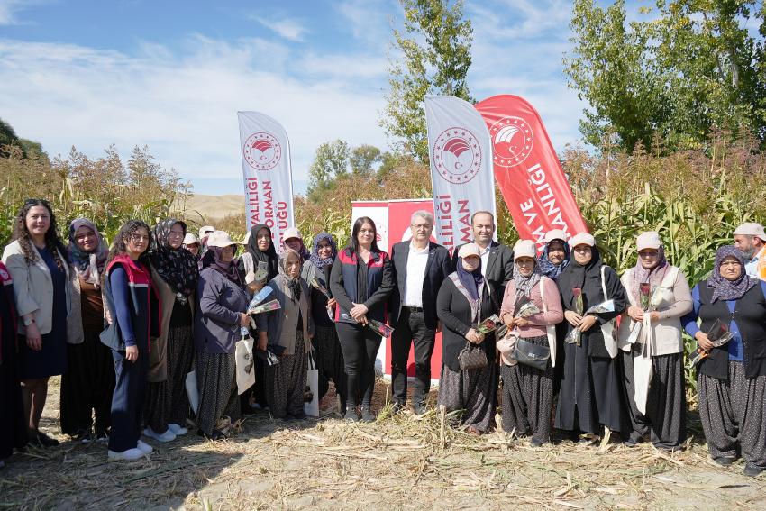 Burdur
