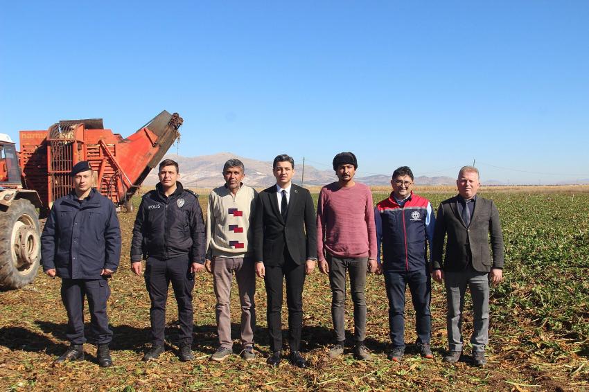 Tefenni Ovası’nda Şeker Gibi Hasat!