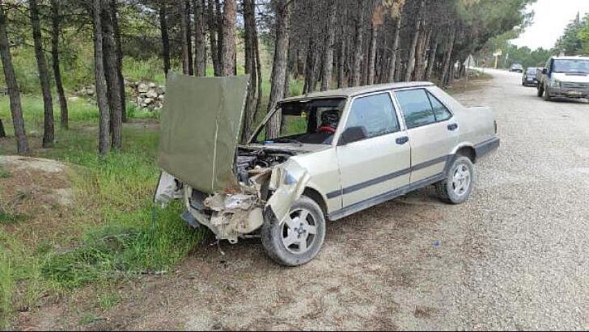 Ağaca çarpan sürücü yaralandı