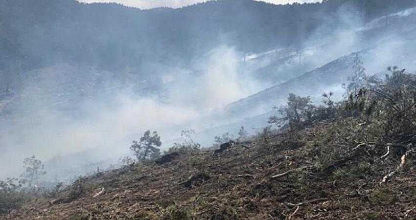 Burdur’da Orman Yangını