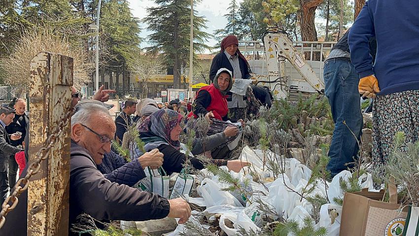 Burdur'da Vatandaşlara Ücretsiz Fidan Dağıtıldı