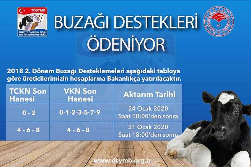 23 MİLYONLUK BUZAĞI DESTEKLEMESİ ÖDENİYOR