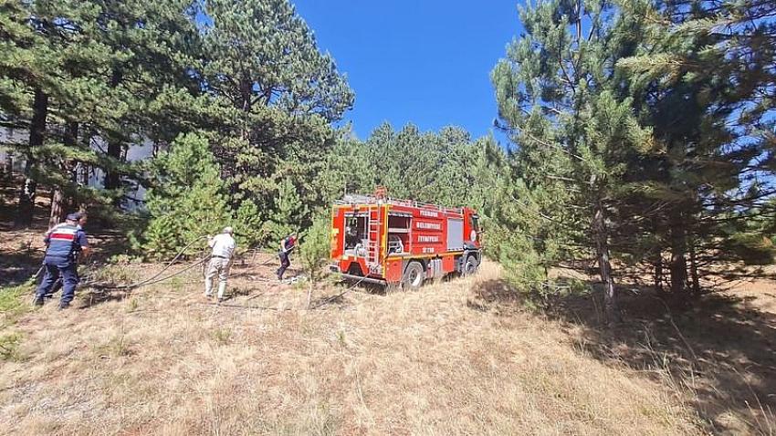 Eşeler dağında orman yangını