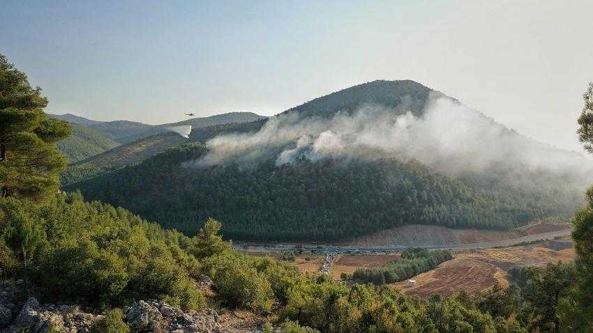 Bucak’ta Orman yangını