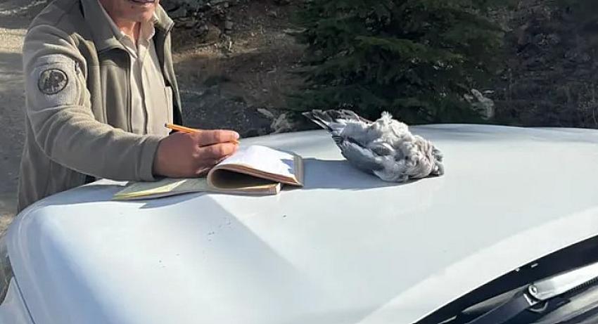 Burdur’da Kaçak Avcılar Suçüstü Yakalandı!