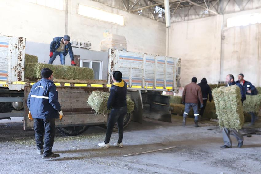 Burdur’dan deprem bölgesine 100 ton hayvan yemi ve odun gönderildi