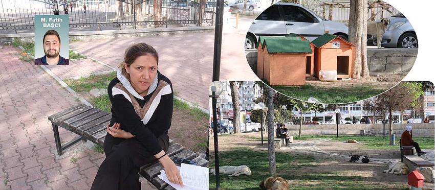 Burdur’da sokak köpeğinin saldırısına uğrayan anne ve kızı yaralandı.