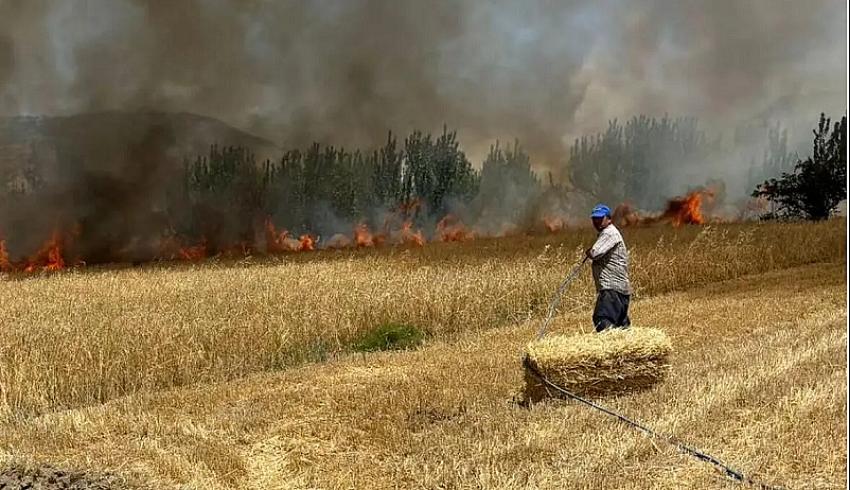 Yangının çiftçilere verdiği zarar büyük