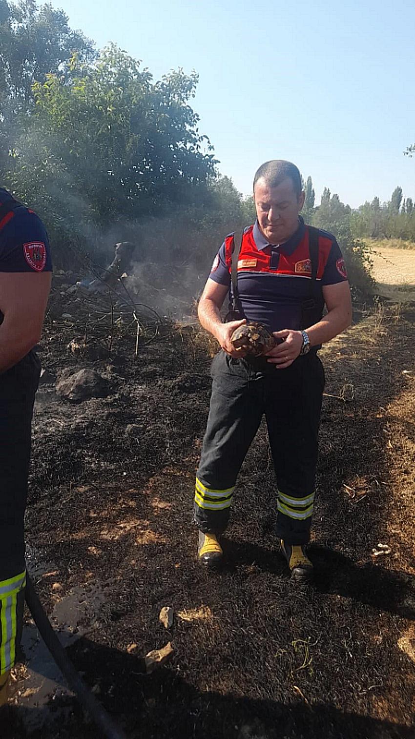 Burdur’da alevlerin arasında kalan kaplumbağa itfaiye ekipleri tarafından kurtarıldı