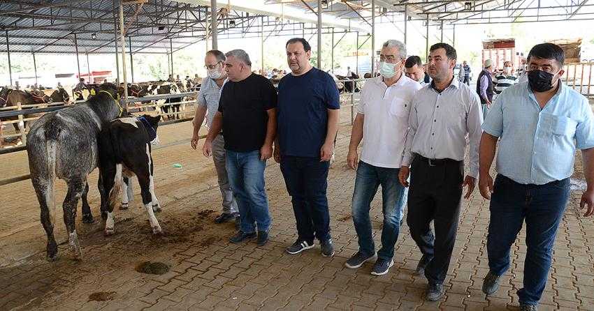 BTB BAŞKANI GÜNDÜZALP: KURBAN BAYRAMI ÖNCESİ ALICIDA SATICIDA MUTSUZ!”