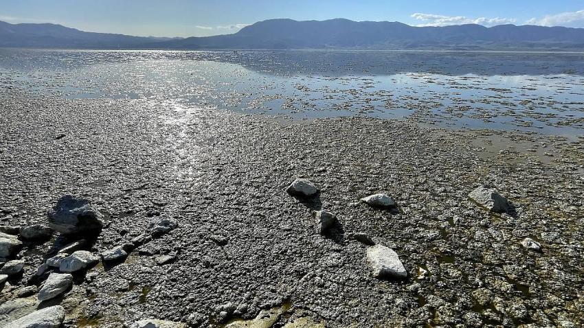 Burdur Gölü alarm veriyor!
