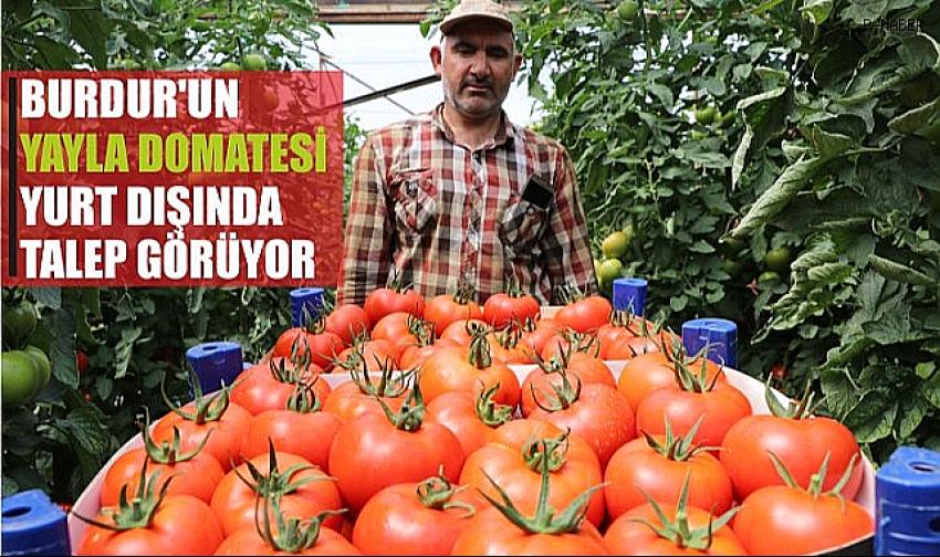 BURDUR’UN YAYLA DOMATESİ, YURT DIŞINDA TALEP GÖRÜYOR