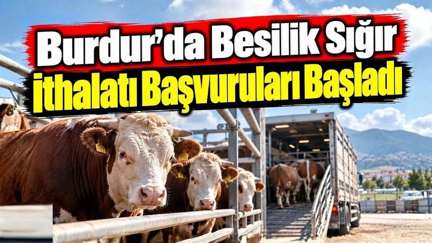 Burdur’da Besilik Sığır İthalatı Başvuruları Başladı