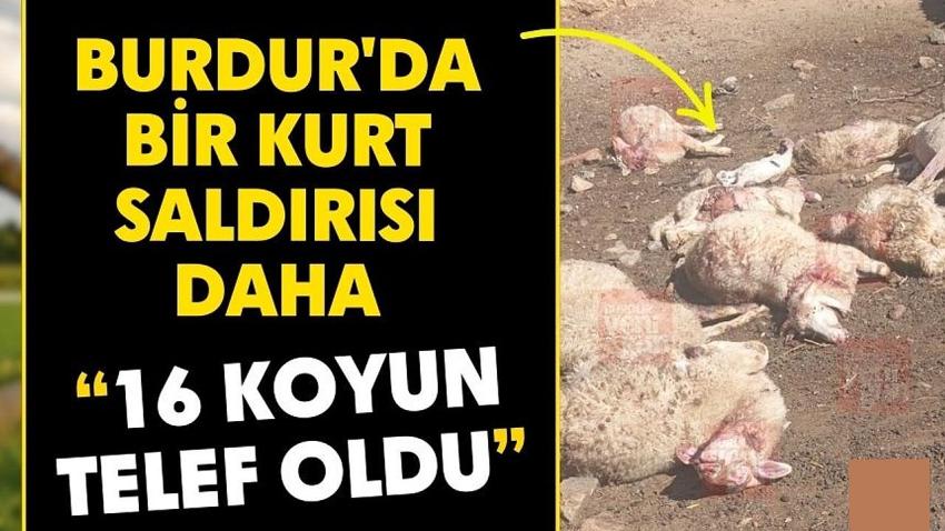 Burdur