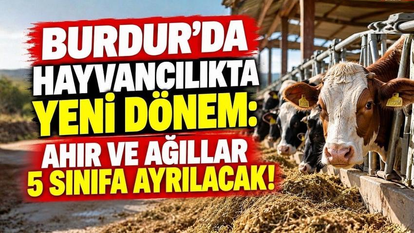 BURDUR’DA HAYVANCILIKTA YENİ DÖNEM: AHIR VE AĞILLAR 5 SINIFA AYRILACAK!