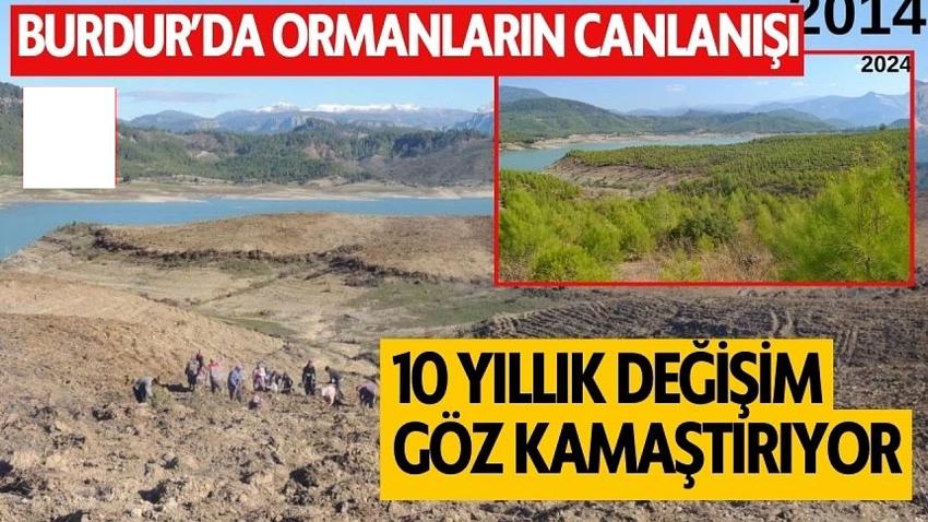 Burdur'da Ormanların Canlanışı: 10 Yıllık Değişim Göz Kamaştırıyor