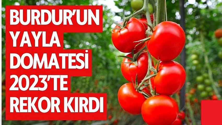 Burdur, 2023’te Domates Üretiminde Zirveye Ulaştı