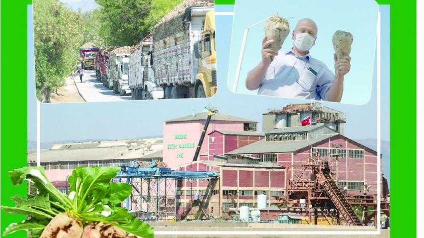 Burdur Şeker Fabrikası’nda kampanya dönemi başladı