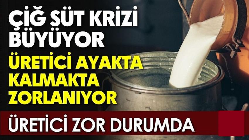 Süt Fiyatı Düştü, Maliyet Arttı