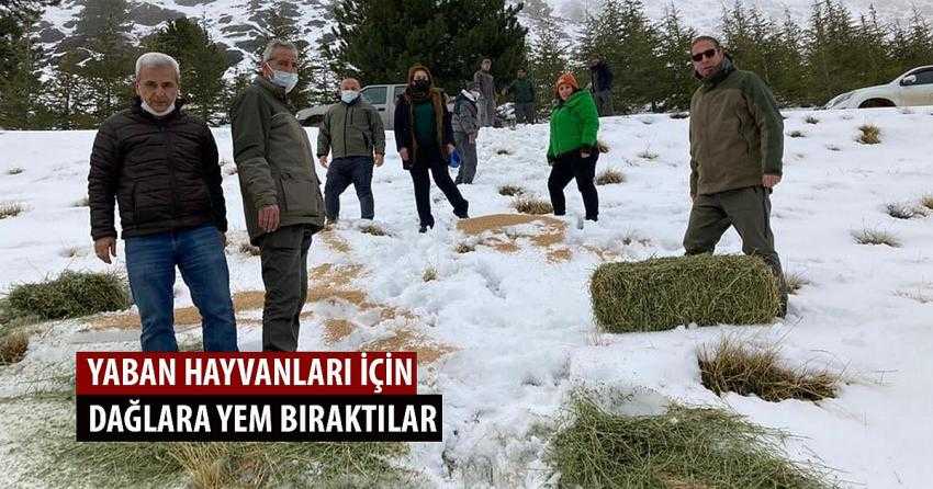 BURDUR’DA KARLI DAĞLARA YABAN HAYVANLARI İÇİN YEM BIRAKILDI