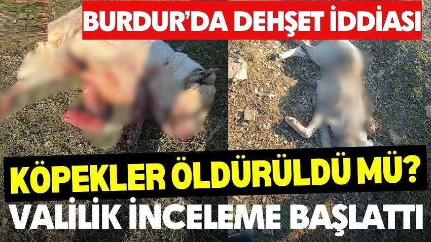 Burdur
