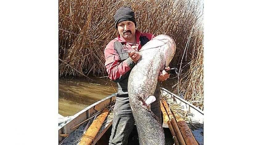Gölhisar Gölünde Ağlara Takılan Dev Balık Avcıları Şaşırttı
