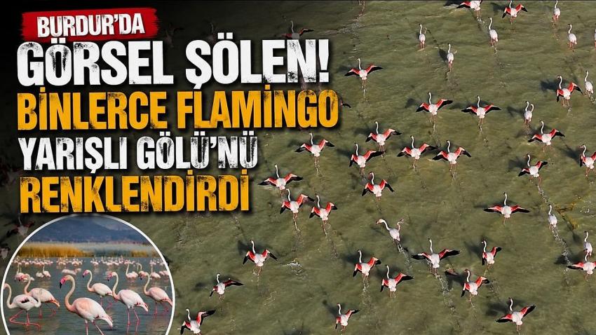 Burdur’da Görsel Şölen! Binlerce Flamingo Yarışlı Gölü’nü Renklendirdi