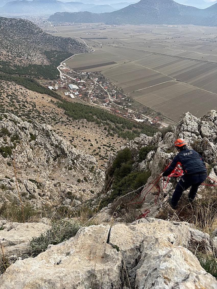 Kayalıklarda Mahsur Kalan Keçiyi AFAD Ekipleri Halatla Kurtardı!