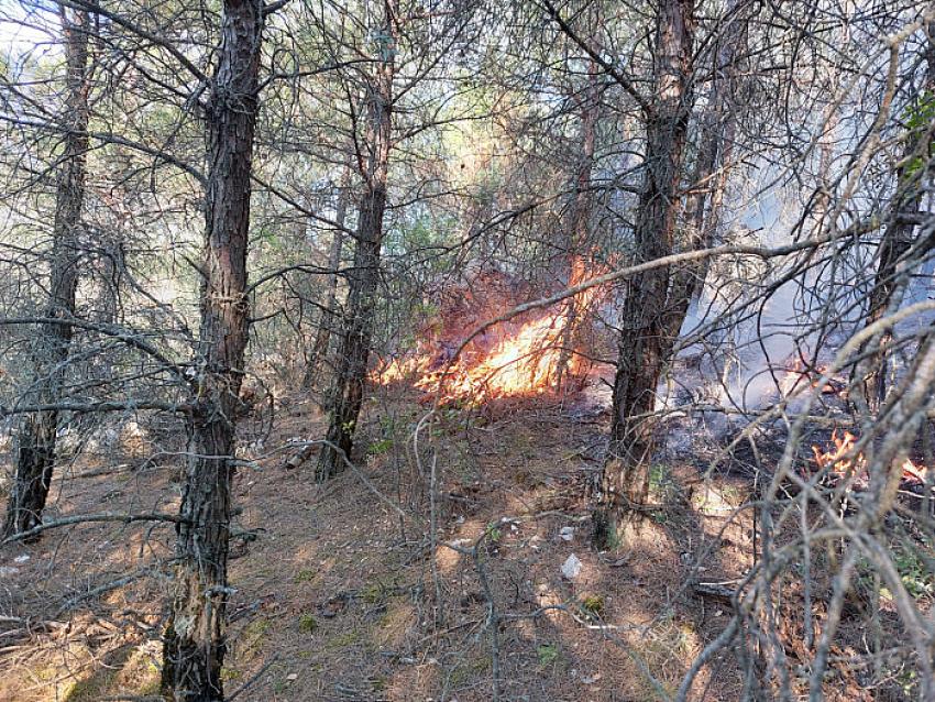 Burdur'da orman yangını